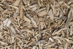 biomass boilers Brickendon