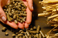 free Brickendon biomass boiler quotes